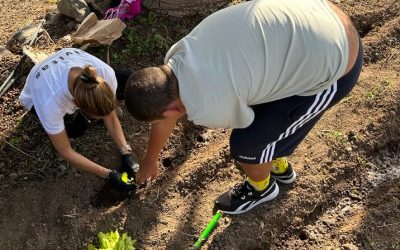 Plantamos en el  huerto