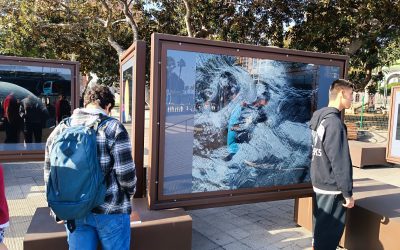 Exposición callejera: Otros mundos
