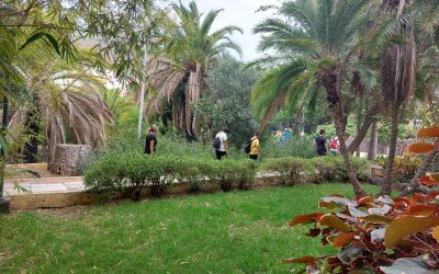 Recorrido por el Municipio de Arucas