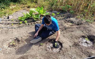 Trabajando en jardinería