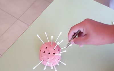 Sacamos las púas del erizo