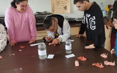 Simulamos la extracción de las púas del erizo