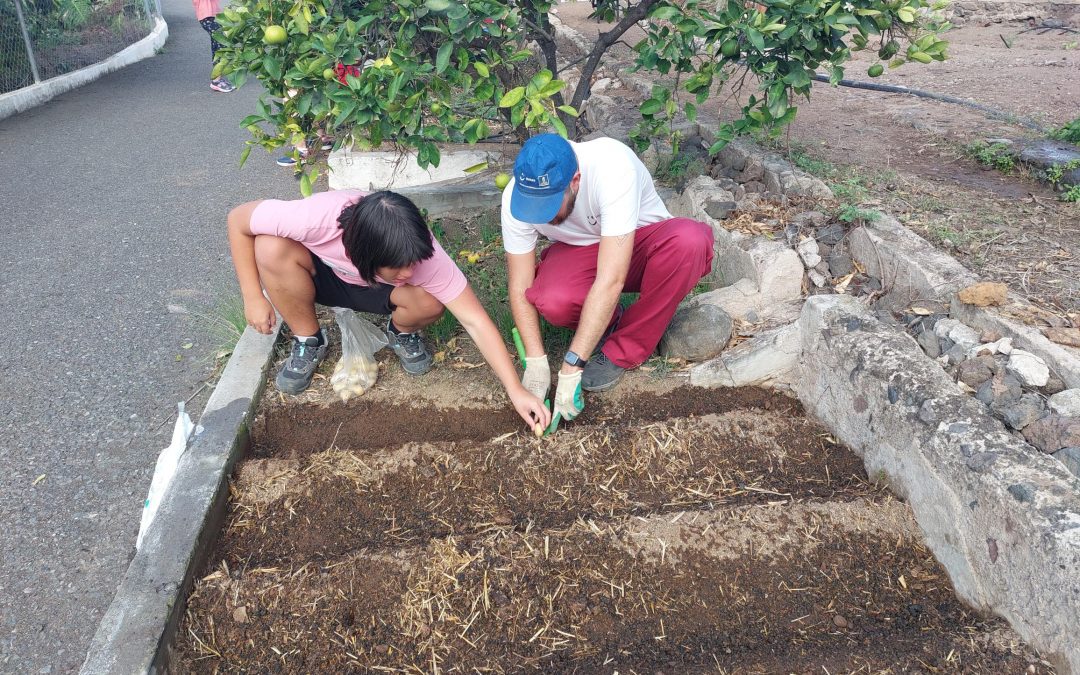 Plantamos el huerto