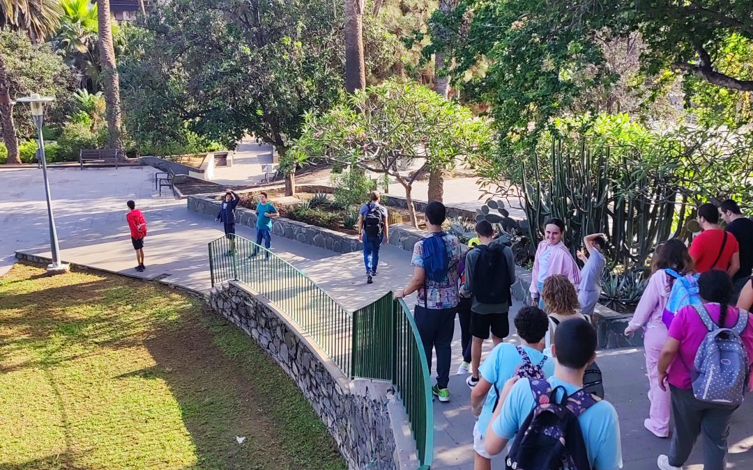 Caminata desde el Parque Doramas hasta San Telmo