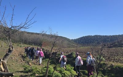 Ruta de Senderismo desde le Barranco de La Degollada