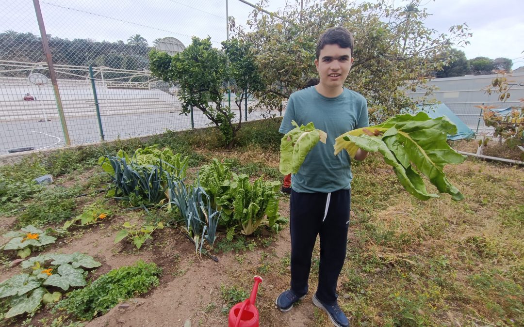 La huerta de la Unidad D
