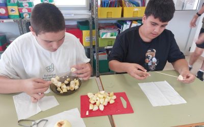 Ricos pinchos de fruta