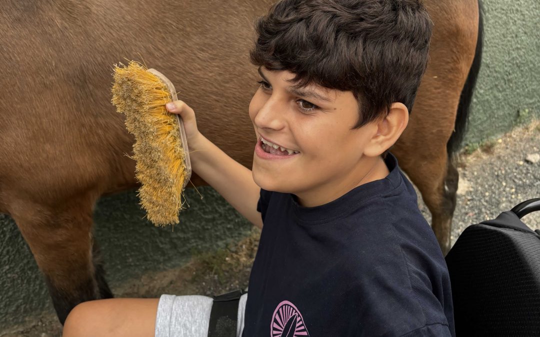 TEA empieza equinoterapia