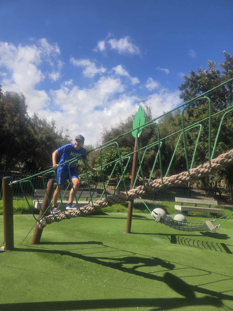 20251030_121420-768x1024