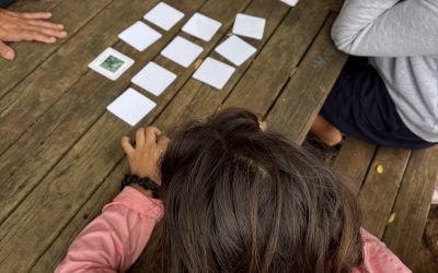 Unidades TEA A y B en Osorio