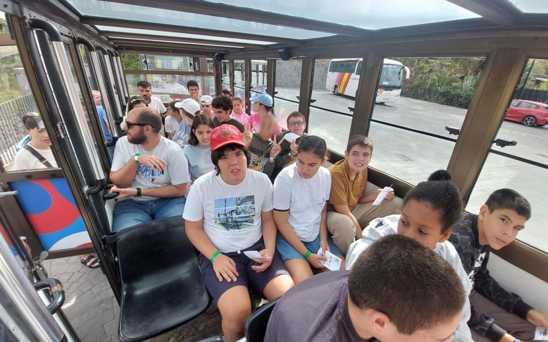 Recorrido en el tren de Firgas