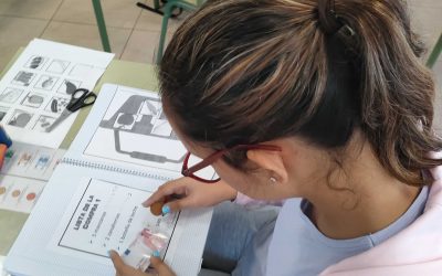 La cesta de la compra