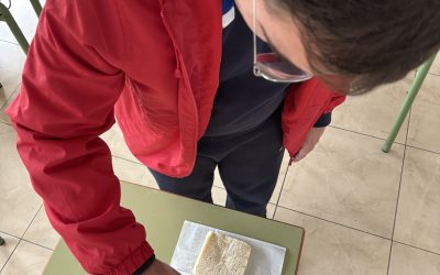 Sándwich de atún y millo