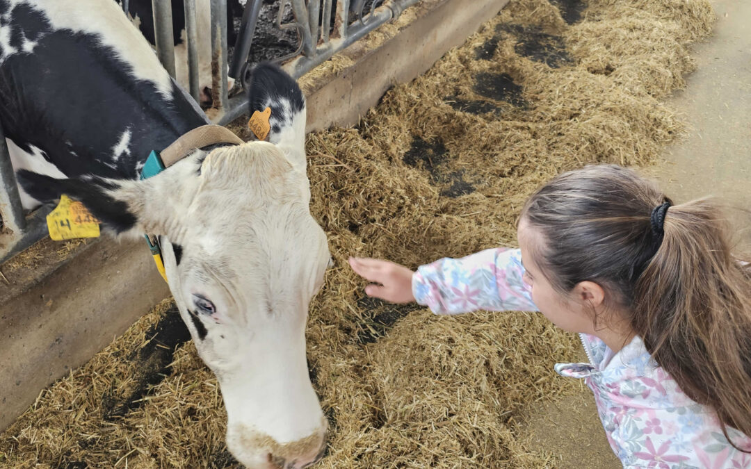 Visitamos el Parador de las Vacas