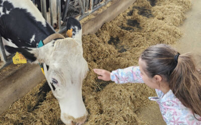 Visitamos el Parador de las Vacas