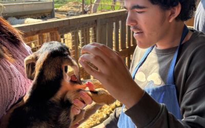 Recorrido por la Jaira de Ana