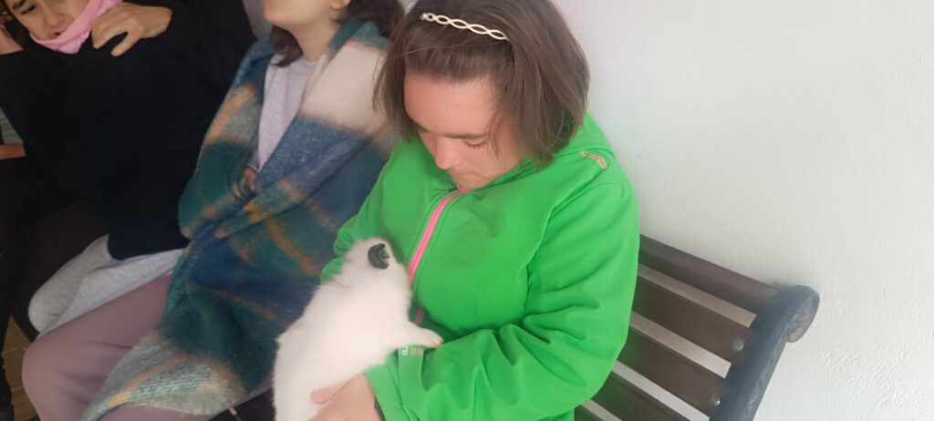 IMG_20260310_103823-1024x462