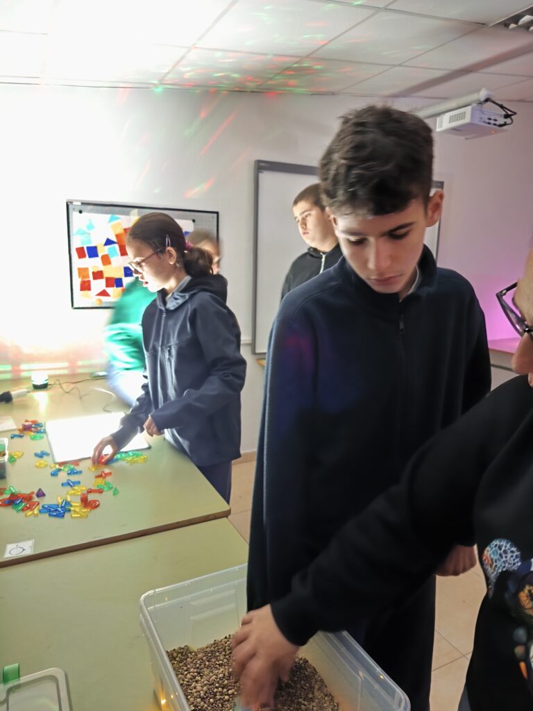 IMG_20260326_114934-768x1024