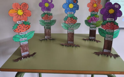 El Jardín de Primaria