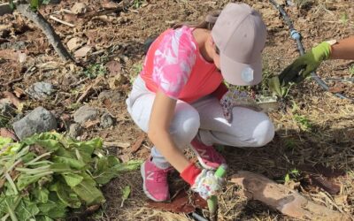 Taller  de jardinería de Unidad I