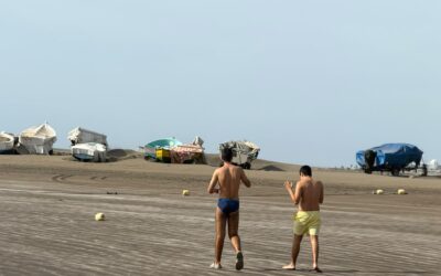 Tea va a la playa