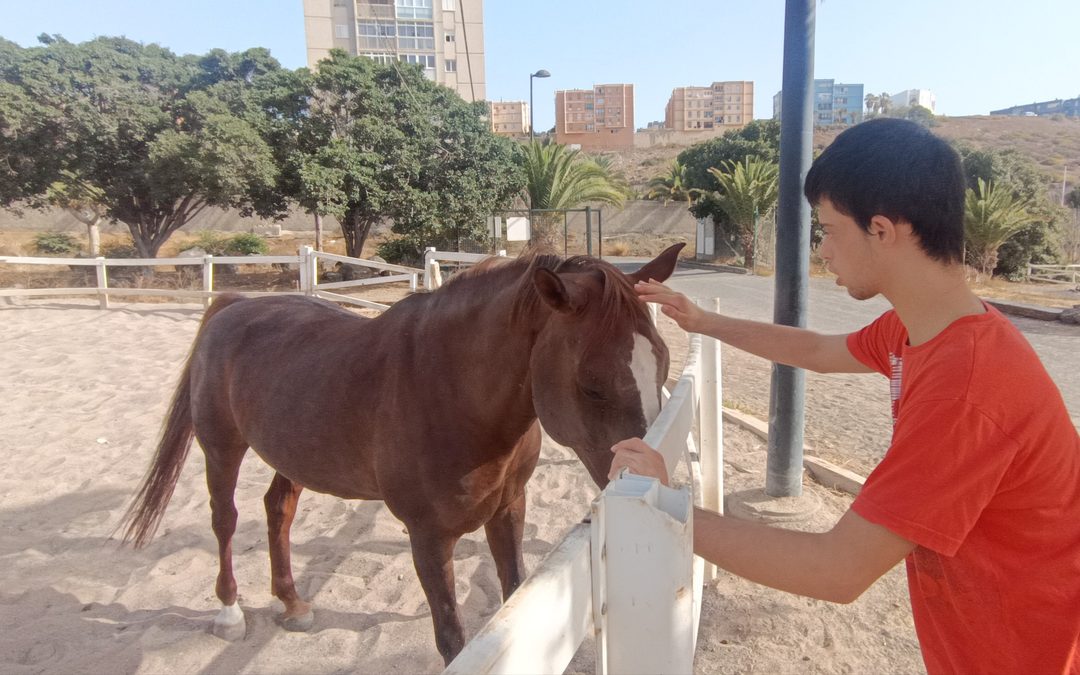 La unidad D retoma Equinoterapia