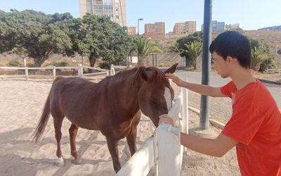 La unidad D retoma Equinoterapia