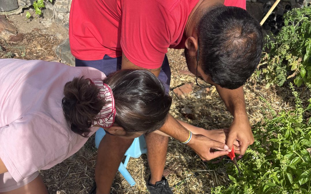 Las Unidades A y B van al huerto