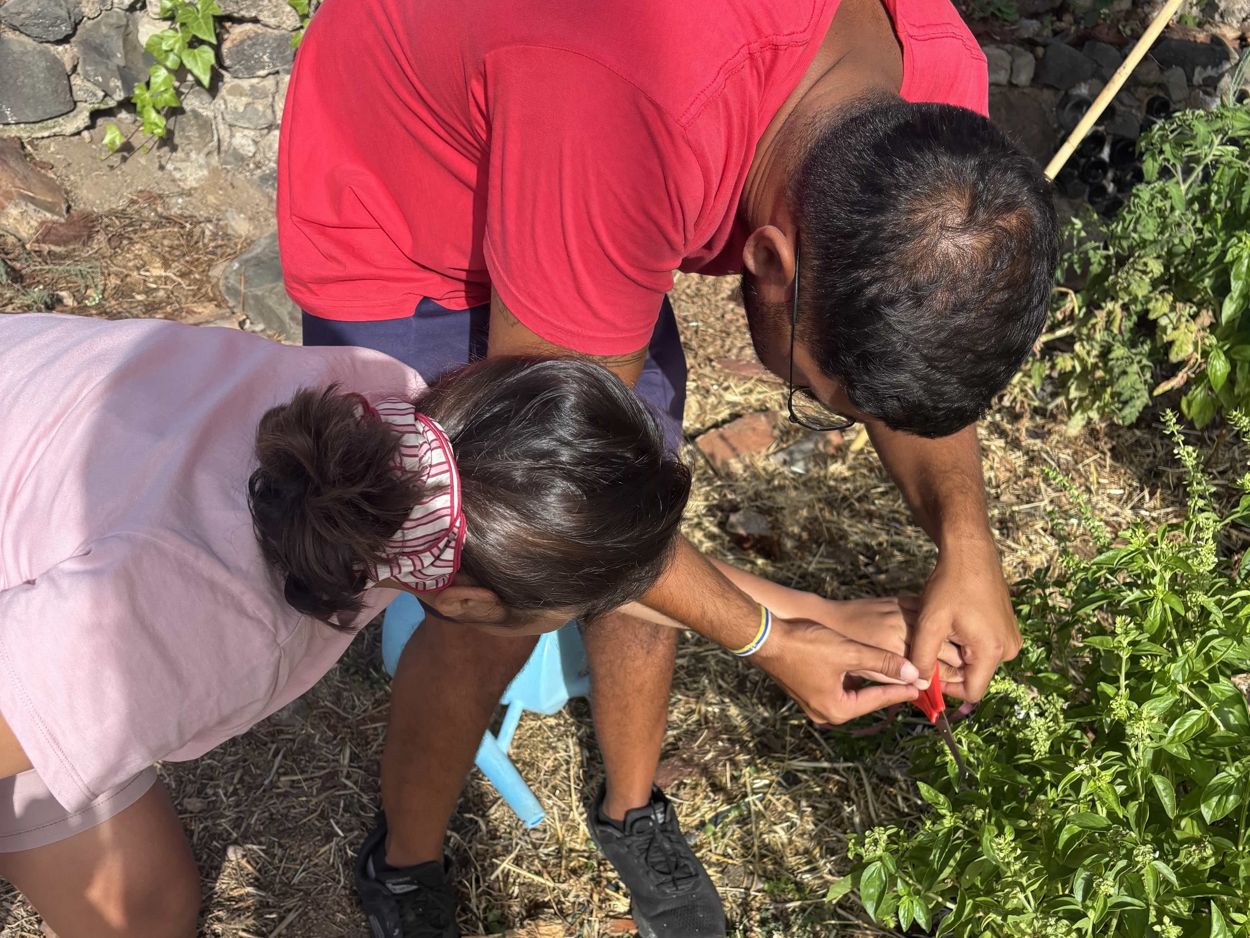 taller de jardinería TEA