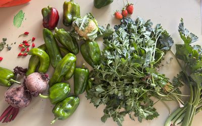 La Unidad D comienza el Taller de Jardinería